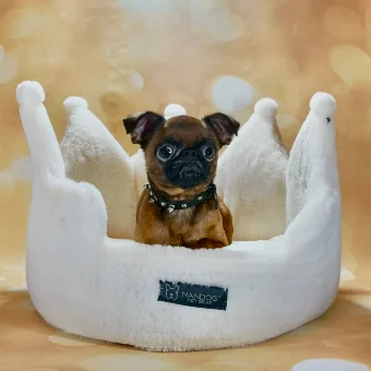 Peanut