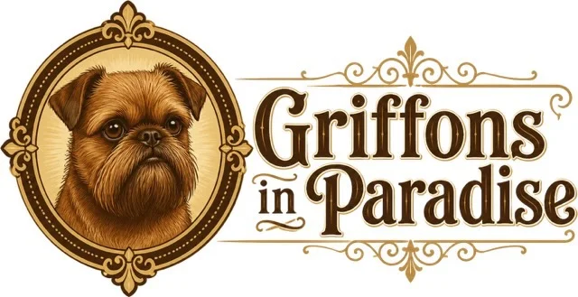 Griffons in Paradise