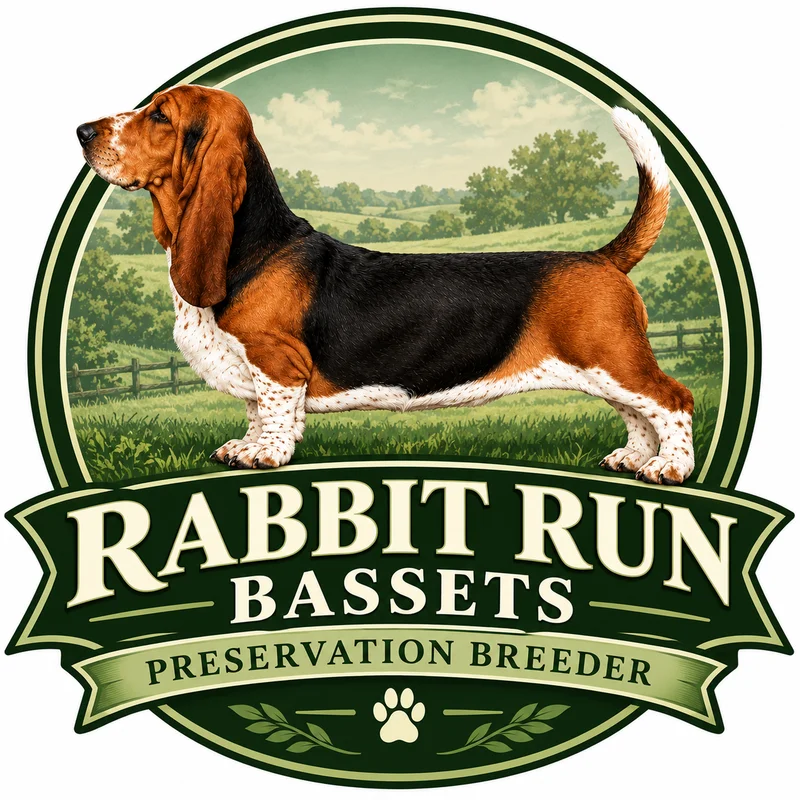 Rabbit Run & Damarna Bassets