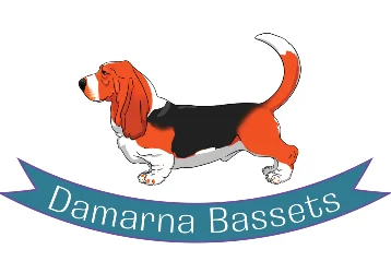 Rabbit Run & Damarna Bassets