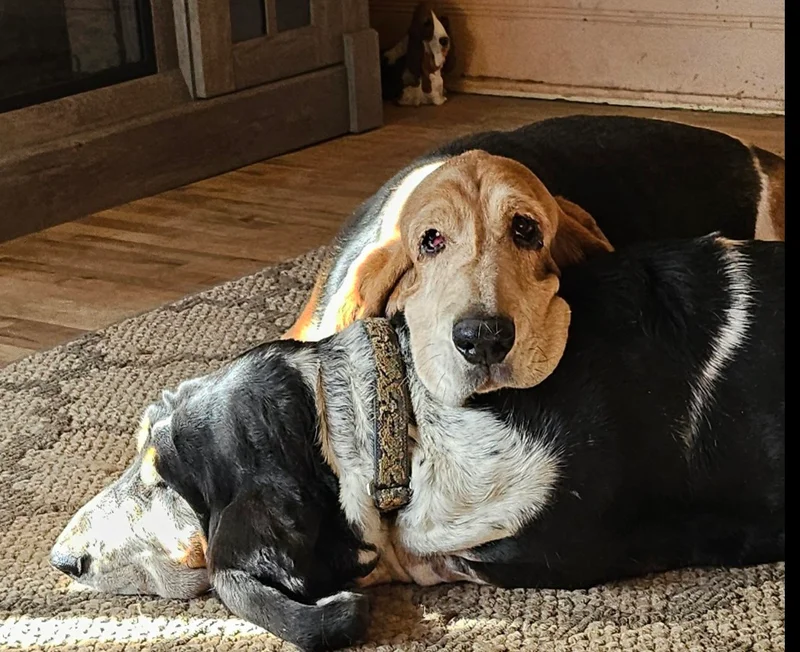 A few of our favorite faces — photo 7