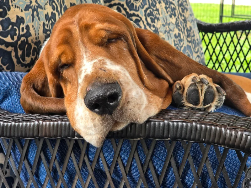 A few of our favorite faces — photo 2