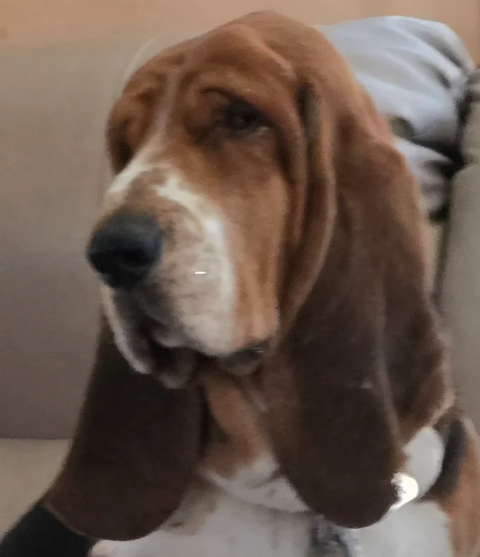 A few of our favorite faces — photo 1