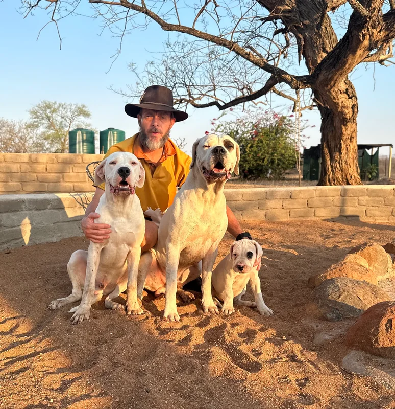 Some of the main breeding sires and dams in our program and some of the other Dogos produced — photo 5