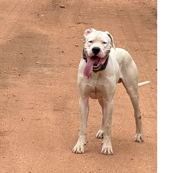 Zulu