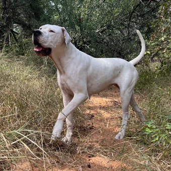 Luna